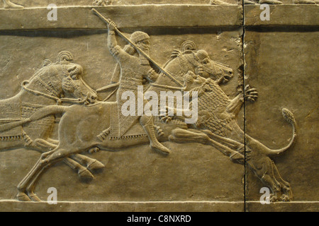 Assyrische Reliefs des königlichen Löwen jagen des Königs Ashurbanipal gesehen im British Museum in London, England, UK. Stockfoto