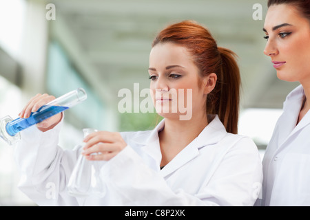 Wissenschaftler, die Flüssigkeit in einen Erlenmeyerkolben gießen Stockfoto