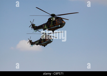 Zwei bulgarische Luftwaffe Aerospatiale AS532 Cougar mittlere Mehrzweckhubschraubern Flug, blauen Himmel im Hintergrund Stockfoto