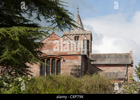 St. Laurence sächsischen Kirche mit großen Zeder im Vordergrund, Morland Cumbria UK Stockfoto