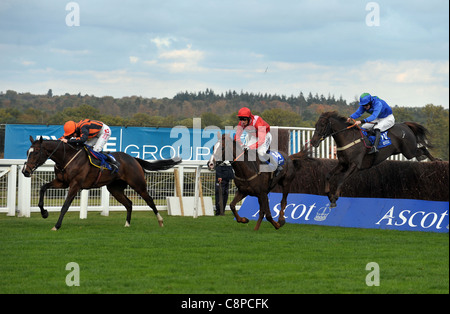 Exmoor Ranger geritten von Andrew Glassonbury springt die letzte auf dem dritten Platz aber geht weiter gewinnt die United House Gold Cup Handicap Chase in Ascot Racecourse in Ascot, Berkshire-29/10/11 - CREDIT: Martin Dalton/TGSPHOTO Stockfoto