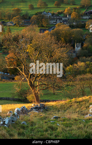 Die ersten Sonnenstrahlen treffen das bunte Herbstlaub Arncliffe in Littondale, Yorkshire Stockfoto