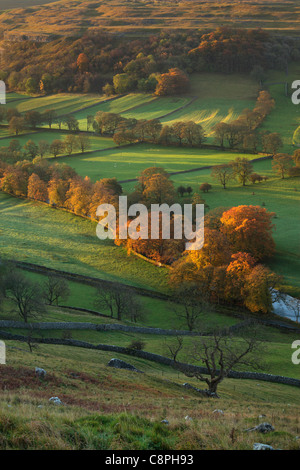 Die ersten Sonnenstrahlen treffen das bunte Herbstlaub Arncliffe in Littondale, Yorkshire Stockfoto