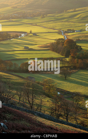 Die ersten Sonnenstrahlen treffen das bunte Herbstlaub Arncliffe in Littondale, Yorkshire Stockfoto