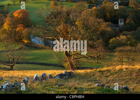 Die ersten Sonnenstrahlen treffen das bunte Herbstlaub Arncliffe in Littondale, Yorkshire Stockfoto