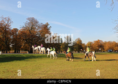 Pferde, die Kreuzung Chestnut Avenue in Bushy Park, einer der königlichen Parks in London in der Nähe von Hampton Court in Süd-West London England UK Stockfoto