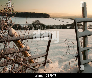 Ab-Hof in ein Schnee-Feld an einem Wintermorgen oder Abend Stockfoto