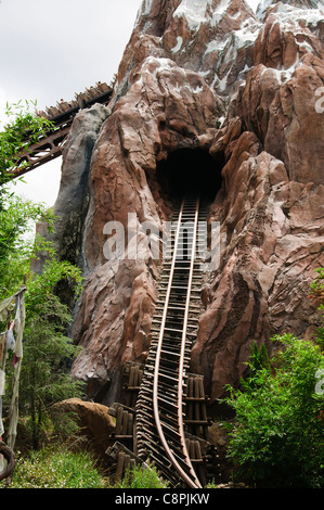 Expedition Everest im Bereich Asien von Disney Animal Kingdom Theme Park ist ein großer Höhe, High-Speed, Achterbahn-Zug Stockfoto