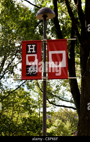 Ein festliches Banner zum 375-Jahr-Jubiläum der Harvard Universität in Harvard Yard. Stockfoto