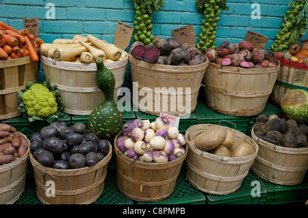 Körbe mit einer Vielzahl von frischem rohem Gemüse Stockfoto