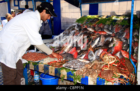 Frischer Fisch Stände/Grill Café / Fisch zum Verkauf in Essaouira; Marokkos atlantische Hafenstadt und beliebter Urlaubsort, Nordafrika Stockfoto