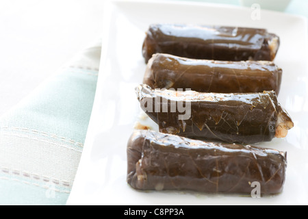 Vorspeisen: frische Weinblätter mit Reis gefüllt. Stockfoto