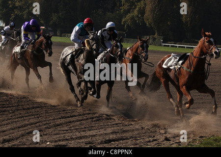 Berühmte jährliche Steeplechase Querfeldein laufen Velka Pardubicka in Pardubice, Tschechische Republik am 10. Oktober 2010. Stockfoto