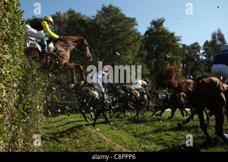 Berühmte jährliche Steeplechase Querfeldein laufen Velka Pardubicka in Pardubice, Tschechische Republik am 10. Oktober 2010. Stockfoto