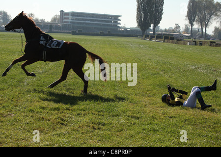 Berühmte jährliche Steeplechase Querfeldein laufen Velka Pardubicka in Pardubice, Tschechische Republik am 10. Oktober 2010. Stockfoto