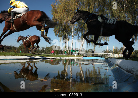 Berühmte jährliche Steeplechase Querfeldein laufen Velka Pardubicka in Pardubice, Tschechische Republik am 10. Oktober 2010. Stockfoto