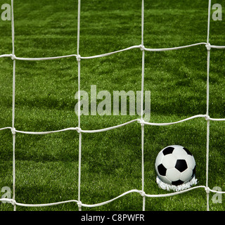 Fußball auf dem grünen Rasen Stockfoto