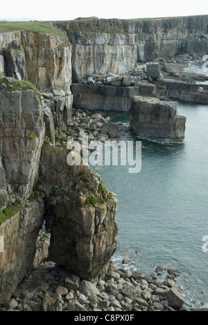 Großbritannien, Wales, Pembrokeshire, St Govan Kopf Küste Stockfoto