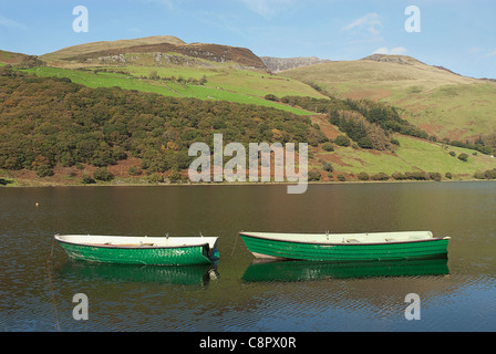 Großbritannien, Wales, Tal-y-Llyn, zwei kleine grüne Boote auf See, Snowdonia Stockfoto