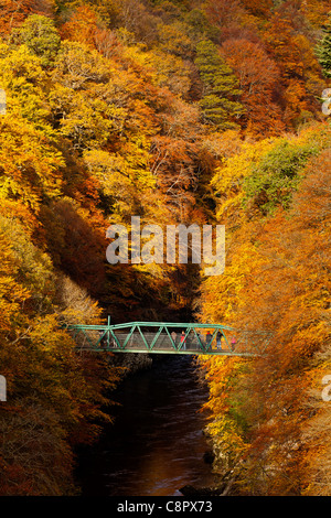 River Garry und Grüne Brücke umgeben von Herbst Farbe von Laub- und Kiefer Bäume, Pass von Killiecrankie, Perthshire Schottland Stockfoto