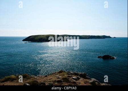 Skomer Island von Wooltack Punkt, South Pembrokeshire, Wales, Vereinigtes Königreich Stockfoto