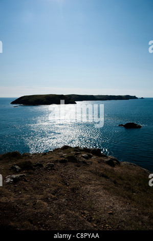 Skomer Island von Wooltack Punkt, South Pembrokeshire, Wales, Vereinigtes Königreich Stockfoto