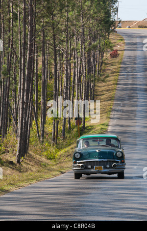 PINAR DEL RIO: KLASSISCHE AMERIKANISCHE OLDTIMER AUF BAUM GESÄUMTEN STRAßE IM VINALES TAL Stockfoto