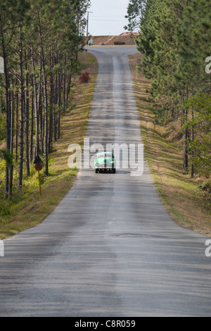 PINAR DEL RIO: KLASSISCHE AMERIKANISCHE OLDTIMER BAUM GESÄUMTEN STRAßE IM VINALES TAL Stockfoto