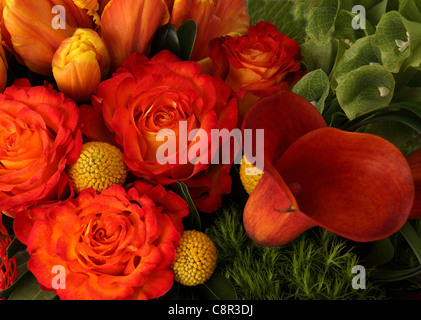 Eine Nahaufnahme von einem bunten Blumenstrauß. Orange / gelbe Tulpen, rote Rosen, 2 rote proteas Stockfoto