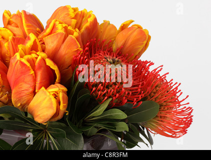 Eine Nahaufnahme von einem bunten Strauß Blumen. Orange / gelbe Tulpen, rote Rosen, 2 rote proteas Stockfoto