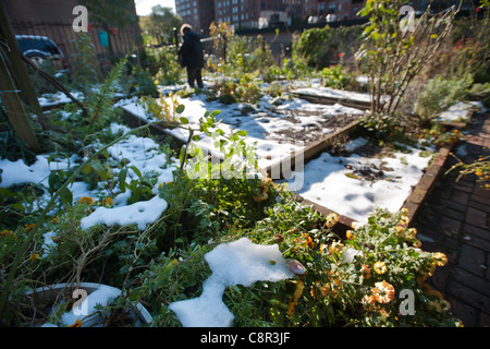 Schnee aus der vorherigen Tage selten Oktober Schneesturm decken einen Gemeinschaftsgarten im Stadtteil Chelsea in New York Stockfoto