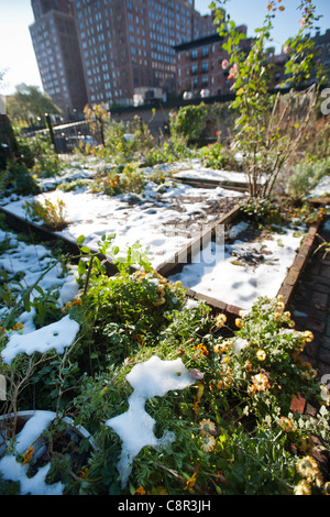 Schnee aus der vorherigen Tage selten Oktober Schneesturm decken einen Gemeinschaftsgarten im Stadtteil Chelsea in New York Stockfoto