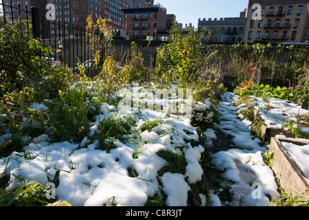 Schnee aus der vorherigen Tage selten Oktober Schneesturm decken einen Gemeinschaftsgarten im Stadtteil Chelsea in New York Stockfoto