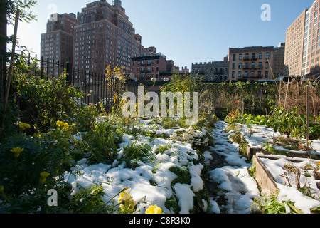 Schnee aus der vorherigen Tage selten Oktober Schneesturm decken einen Gemeinschaftsgarten im Stadtteil Chelsea in New York Stockfoto