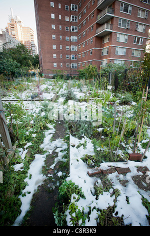 Schnee aus der vorherigen Tage selten Oktober Schneesturm decken einen Gemeinschaftsgarten im Stadtteil Chelsea in New York Stockfoto