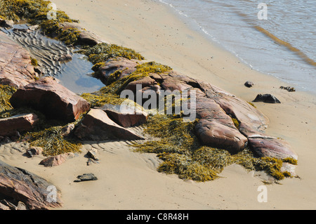 Felsformation am Strand am Golf von St. Lawrence, Quebec Region. Stockfoto