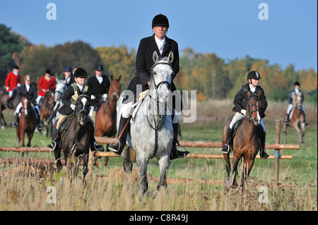 Jäger tragen schwarze und rote Mäntel auf Reiten springen über Hindernis während der Jagd ziehen im Herbst, Europa Stockfoto