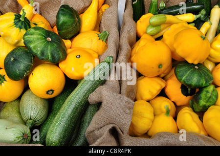 Eine Vielzahl von Squash auf Verkauf am Samstag Bauernmarkt in Downtown Boise Stockfoto