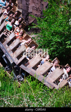 Expedition Everest im Bereich Asien von Disney Animal Kingdom Theme Park ist ein großer Höhe, High-Speed, Achterbahn-Zug Stockfoto