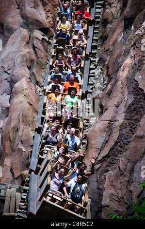 Expedition Everest im Bereich Asien von Disney Animal Kingdom Theme Park ist ein großer Höhe, High-Speed, Achterbahn-Zug Stockfoto