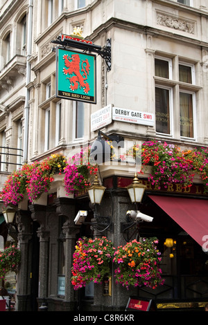 Das Red Lion Pub in Whitehall, London Stockfoto