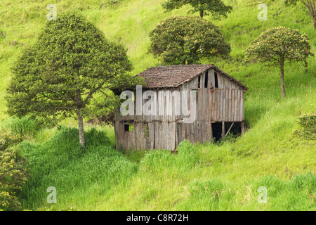 Eine alte, verwitterte Holzhütte mit einem gekachelten Dach steht auf einem grasbewachsenen Hügel, auf Stelzen. Das Gebäude zeigt Anzeichen von Verfall, fehlende Fenster und freiliegende Holzdielen. Um den herum Stockfoto