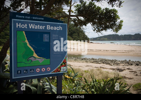 Touristen Graben nach Thermalquellen am Hot Water Beach, Neuseeland Stockfoto