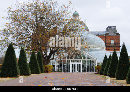 Von Bäumen gesäumten Allee, die zum Eingang der Winter Gardens an der People's Palace in Glasgow, Schottland, Großbritannien, Europa Stockfoto