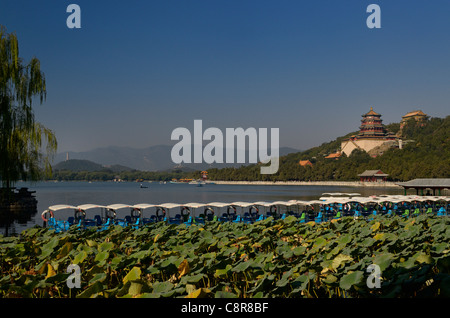 Paddelboote und Lotus Pflanzen auf Kunming See mit buddhistischen Duft Tempel am Sommerpalast Beijing China Stockfoto