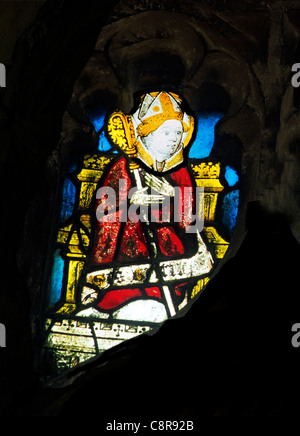 Wiggenhall St. Mary Magdalene, Norfolk, St. Britius, Bischof von Tours, d. 444 AD englischen mittelalterlichen Fenster Glasfenster Stockfoto