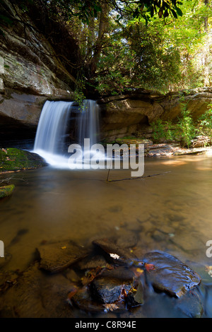 Raper Creek Falls Stockfoto