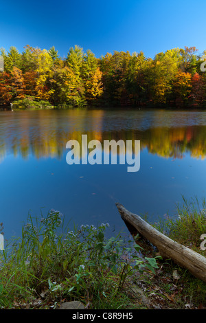 Herbst am See Dockery, GA. Stockfoto