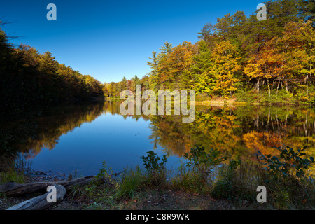 Herbst am See Dockery, GA. Stockfoto