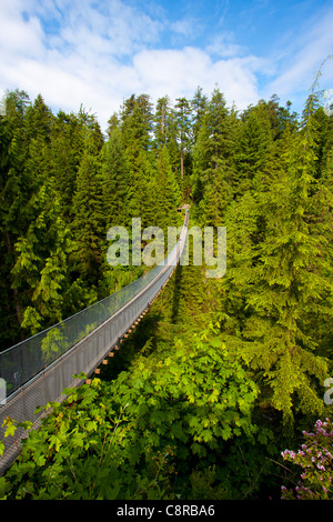 Capilano Suspension Bridge, Vancouver, Kanada Stockfoto